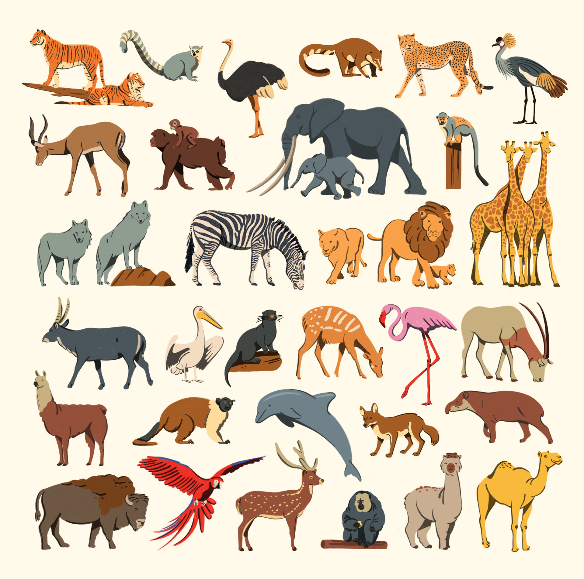 fagostudio-animaux-planetesauvage-02