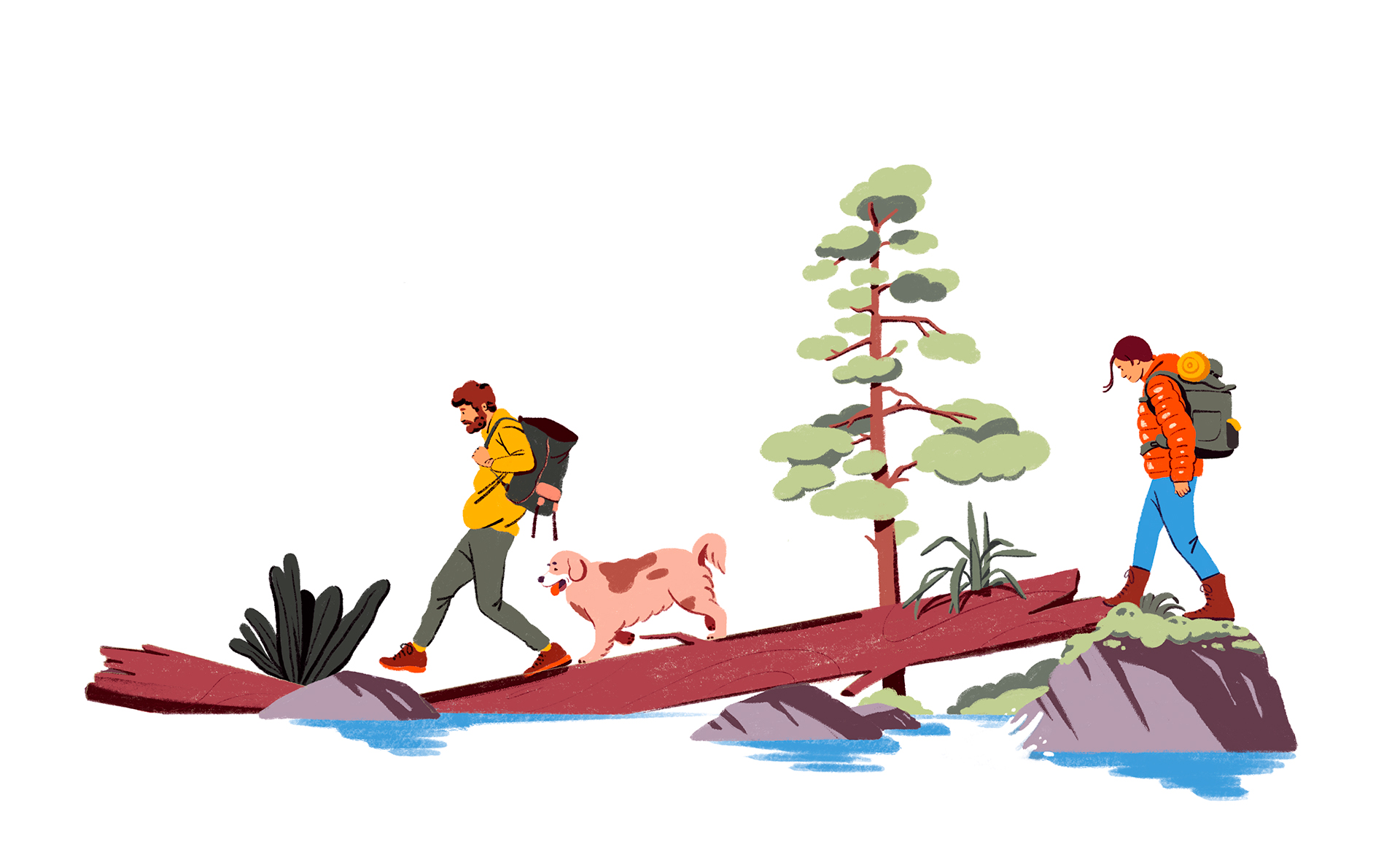 fagostudio-illustration-climbing-van-01