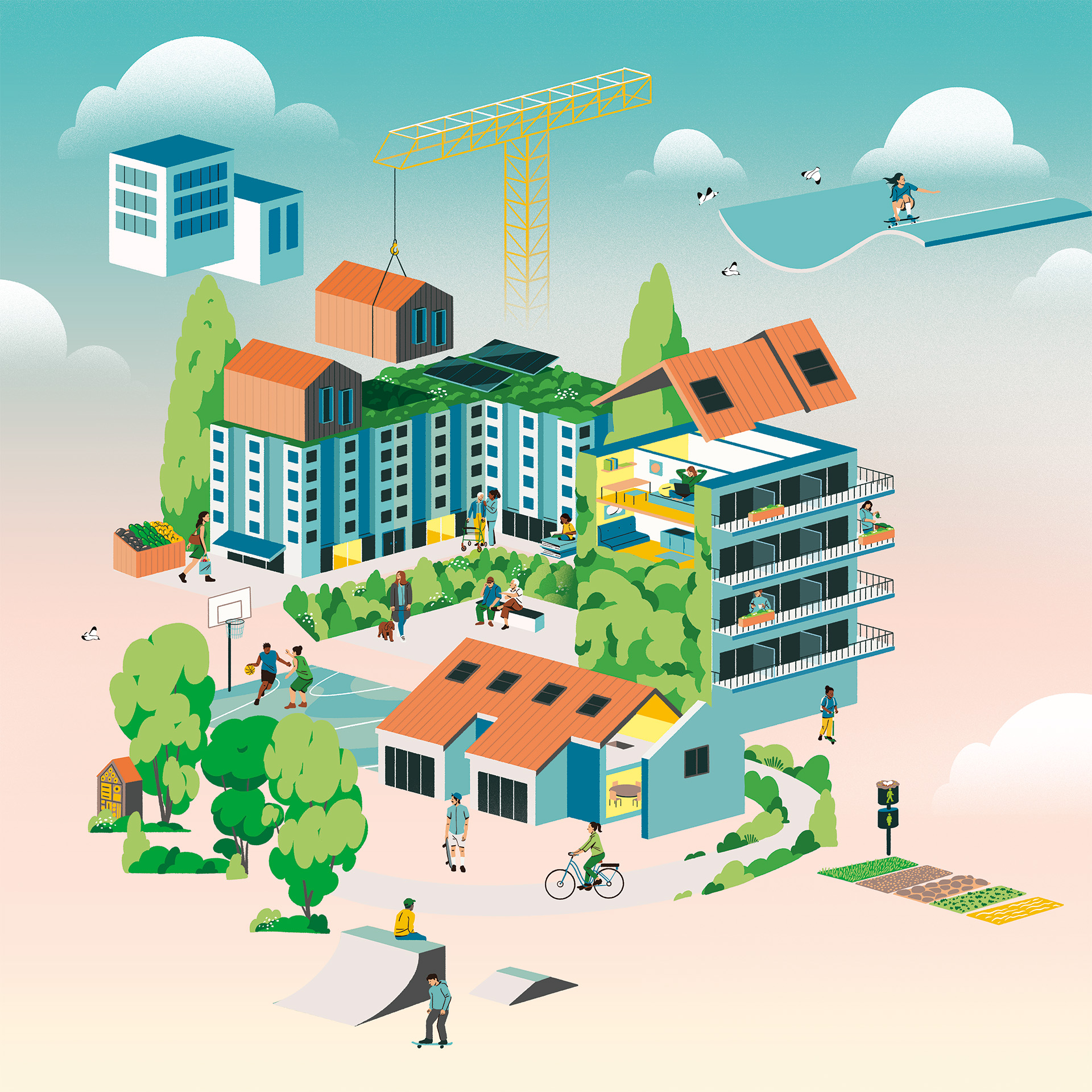 fagostudio-illustration-delphis-12