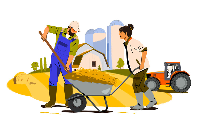 fagostudio-illustration-wawanesa-concrete-01